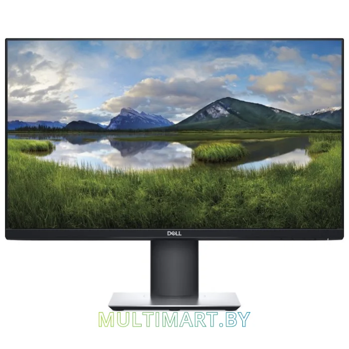 Монитор Dell P2419HC